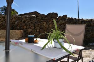 une table avec une plante et une assiette de nourriture dessus dans l'établissement Casa Rural El Balcón de Piedrahíta, à Navahermosa de Corneja 37 autres photos
