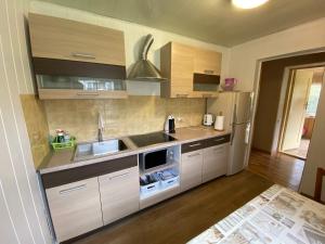 a kitchen with a sink and a refrigerator at Nida Lotmiškio 15 in Nida