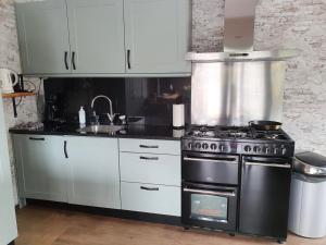 a kitchen with a stove and a sink at Tjotter in Amsterdam