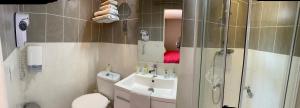 a bathroom with a toilet and a sink and a shower at LOGIS Hôtel La Chaumière in Marseillan