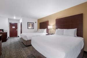 Postel nebo postele na pokoji v ubytování Cobblestone Hotel & Suites - Urbana