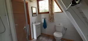 a small bathroom with a toilet and a sink at Domki pod Dębami in Trzcianka