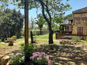 Zahrada ubytování Agriturismo e Glamping Serraiola Alta