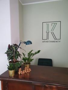 einen Schreibtisch mit Topfpflanzen darüber in der Unterkunft Apartamenty K17 in Malbork