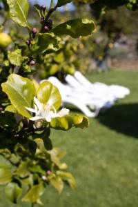 A garden outside Casa Maia