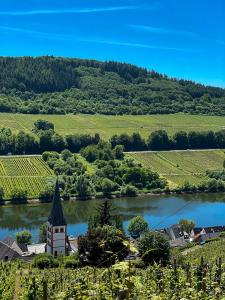 Gallery image of Boutique Guesthouse Das WOHLGEMUTH HEIM Mosel Weingut in Zell an der Mosel