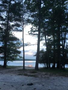 Gallery image of Bonfires, Peaceful, Higgins, Houghton Lake, Boating in Houghton Lake