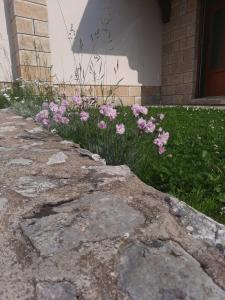 Zahrada ubytování Tara Apartmani Malešević - 3 lux
