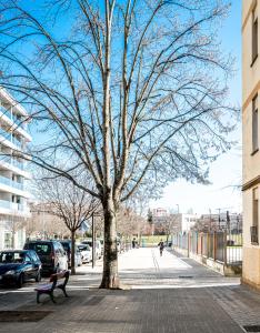 Okolie apartmánu