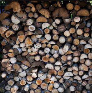 Gallery image of Domki pod jabłonką in Elganowo