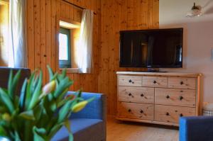 a living room with a television and a dresser at FERIENHAUS WALDTRAUM in Sankt Veit an der Glan