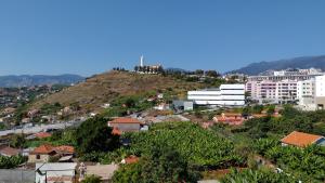 uma vista para uma cidade com edifícios e uma colina em Madeira Luxury Amparo Apartment no Funchal