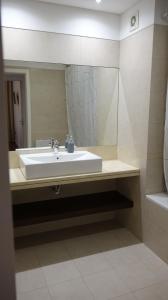 uma casa de banho com um lavatório e um espelho grande em Madeira Luxury Amparo Apartment no Funchal
