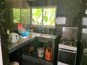 a small kitchen with a sink and a stove at Villa Manoir in Anse Lazio