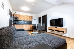 Posezení v ubytování PLESSBERG Apartments Plešivec