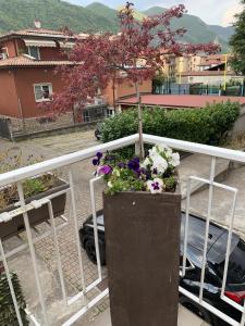 Nespecifikovaný výhled na hory nebo výhled na hory při pohledu z apartmánu
