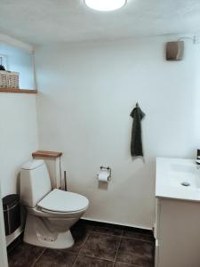 a bathroom with a toilet and a sink at Landstedet Billund in Billund