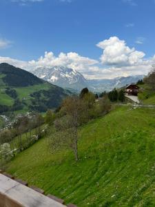 una colina verde con un árbol en un campo con montañas en Bergblick Hollnhof, en Donnersbach