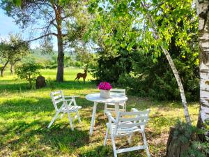 Gallery image of App.to Pian del Ronco in Pellegrino Parmense