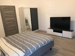 um quarto com uma cama e uma televisão de ecrã plano em Gigi Apartment em Cluj-Napoca