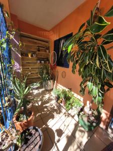 Um jardim em Casa di Vó