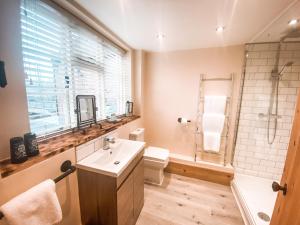 a bathroom with a sink and a toilet and a shower at The Bridge at Riverside Suites in Bridgnorth
