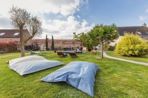 due cuscini sdraiati sull'erba in un cortile di Au Domaine Fresnois a Fresnes-lès-Montauban