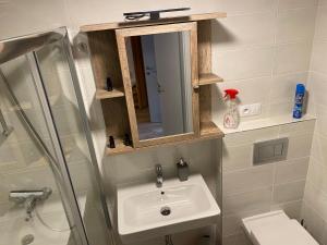 Kúpeľňa v ubytovaní Usedlost Pivoňka + 31 fotografií