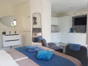 um quarto com uma cama, um lavatório e um espelho em Villa Calma Port Venus Village Naturiste Piscine & vélo em Cap d'Agde