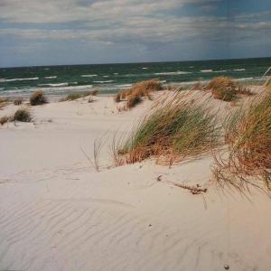 Galeriebild der Unterkunft Fewo Abendrot in Insel Poel