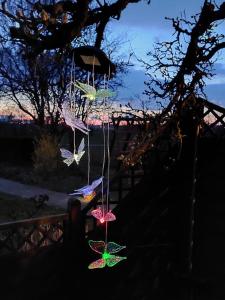 Galeriebild der Unterkunft Fewo Abendrot in Insel Poel