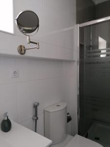 a bathroom with a toilet and a mirror on the wall at Alojamento Justo - vila de Montargil in Montargil