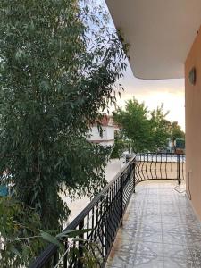 a balcony with a black fence and a tree at Hotel Gjinaj in Shëngjin