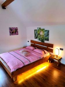 a bedroom with a large bed with pink sheets and a lamp at Holiday home in Trebnje Kranjska Krain 42897 in Trebnje