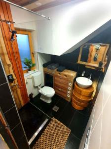 a small bathroom with a toilet and a sink at Holiday home in Trebnje Kranjska Krain 42897 in Trebnje