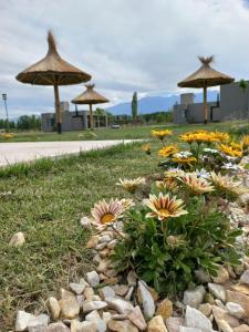 a garden with flowers and umbrellas in a field at Complejo Piuquenes Lodge Valle de Uco in Vista Flores