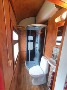 a bathroom with a toilet and a shower and a sink at Junamajoitus Tuuri Train Station in Tuuri
