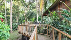 a wooden walkway leading to a house in the woods at Hotel Agualinda Doradal in Puerto Triunfo