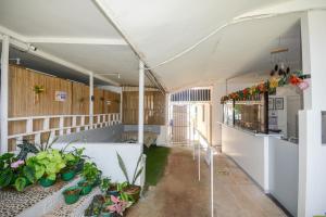 an inside view of a room with plants at Boracay Morning Beach Resort in Boracay