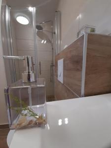 Bilik mandi di Rooms & Apartment Lasta