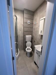 een badkamer met een toilet en een wastafel bij Delete 4 in Novi Grad