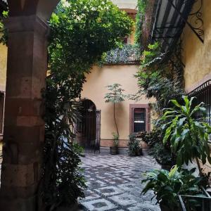 an entrance to a building with a courtyard with plants at Lele Panchito y Lavanda Juntos en el Centro in Querétaro