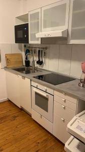 een witte keuken met een wastafel en een fornuis bij Monteurs Zimmer Noack in Börßum