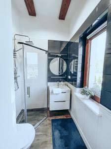 a bathroom with a shower and a sink and a toilet at Apartament pod brzozami -Tomaszkowo in Tomaszkowo