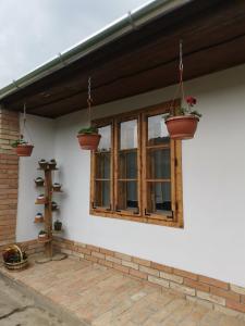 Fotografia z galérie ubytovania Pusztaszemes Vendéghaz v destinácii Pusztaszemes