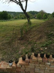 Fotografia z galérie ubytovania Pusztaszemes Vendéghaz v destinácii Pusztaszemes