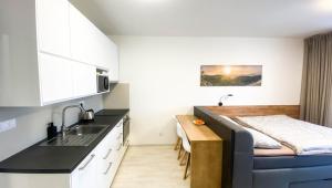 eine Küche mit Sofa und Waschbecken in einem Zimmer in der Unterkunft Apartmán LUMI Zadov in Stachy