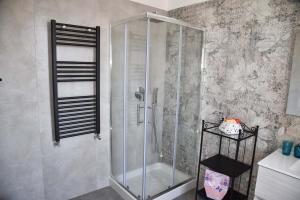 een douche met een glazen deur in de badkamer bij Dafne e Apollo Apartment Pompei in Pompei