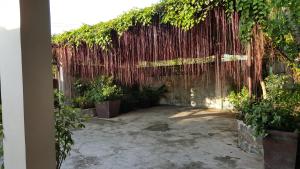 Zahrada ubytování Sanctuary Transient House Bacolod