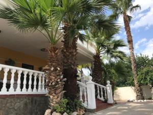 Kép Villa Holiday szállásáról Castellón de la Planában a galériában